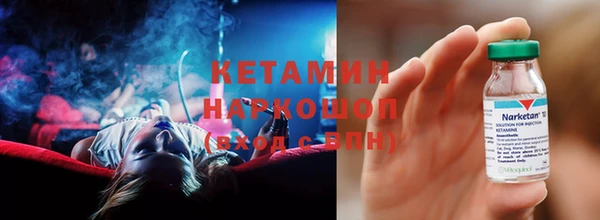 сатива Богданович