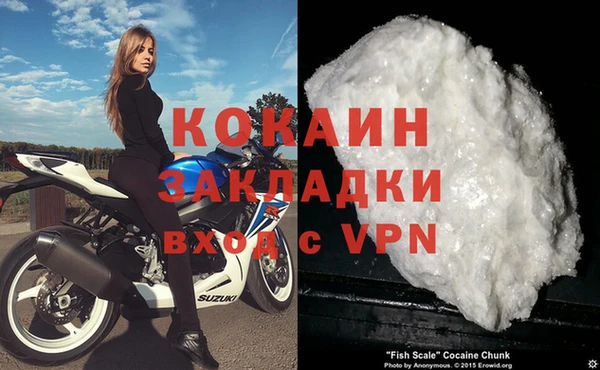 сатива Богданович