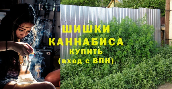 сатива Богданович