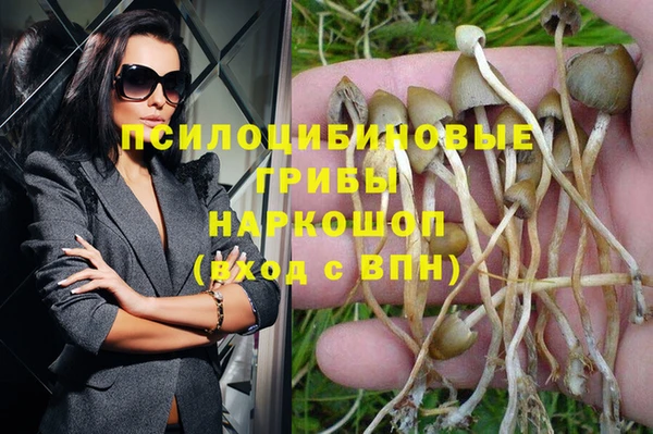 сатива Богданович