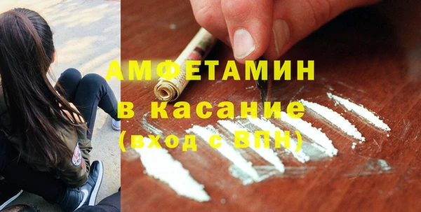 сатива Богданович
