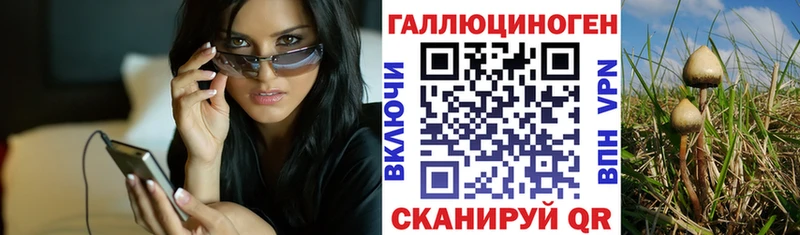 Псилоцибиновые грибы мицелий  цена наркотик  Катайск 