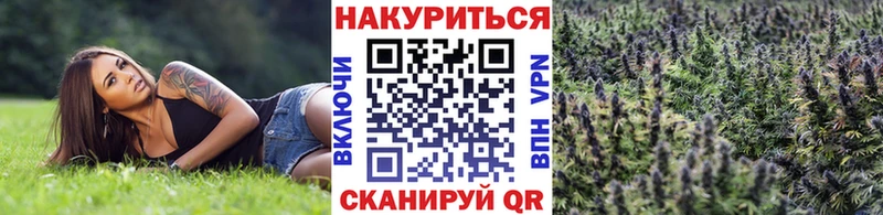 Канабис White Widow Катайск